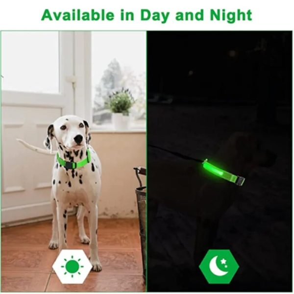 Kép errő: LED Glowing Dog Collar Adjustable Flashing Rechargea Luminous Collar Night Anti Lost Dog Light HarnessFor Small 2